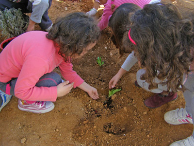 �������������� ��������� 2012-2013