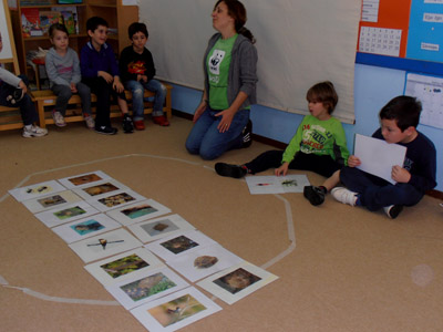 �������������� ��������� 2012-2013