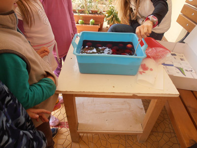 ���������� ��������������