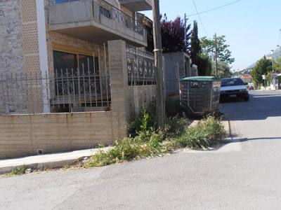 ��������� ������ ������ 2012-2013