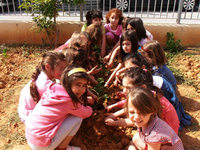 �������������� ��������� 2011-2012