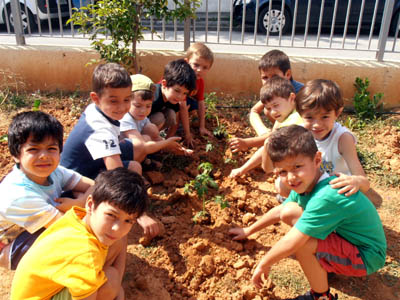 �������������� ��������� 2011-2012