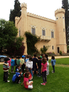 ������ ��� ������ ��� ��� - ����� ������ 17-5-2013