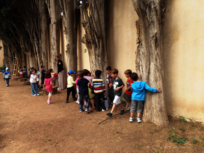 ������ ��� ������ ��� ��� - ����� ������ 17-5-2013