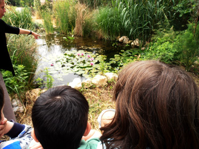 ������ ��� ������ ��� ��� - ����� ������ 17-5-2013