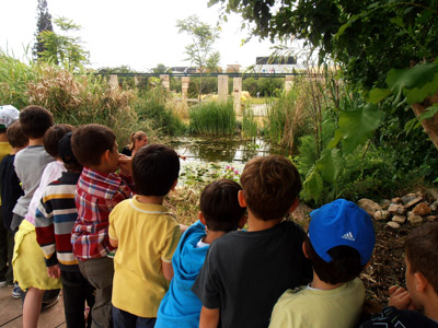 ������ ��� ������ ��� ��� - ����� ������ 17-5-2013