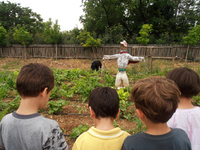 ������ ��� ������ ��� ��� - ����� ������ 17-5-2013