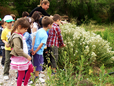 ������ ��� ������ ��� ��� - ����� ������ 17-5-2013