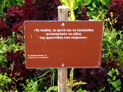 ������ ��� ������ ��� ��� - ����� ������ 17-5-2013