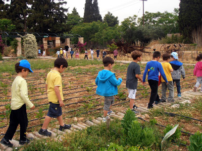 ������ ��� ������ ��� ��� - ����� ������ 17-5-2013