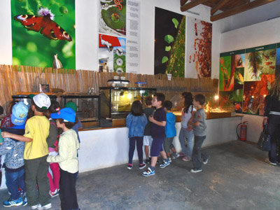 ������ ��� ������ ��� ��� - ����� ������ 17-5-2013