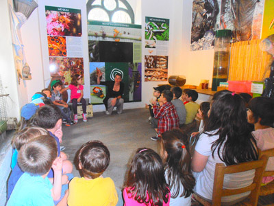 ������ ��� ������ ��� ��� - ����� ������ 17-5-2013