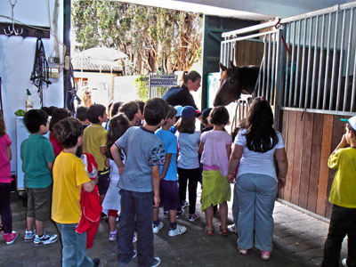 ������ ��� ������ ��� ��� - ����� ������ 17-5-2013