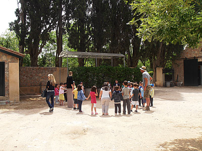 ������ ��� ������ ��� ��� - ����� ������ 17-5-2013