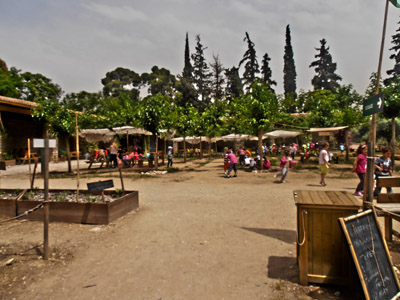 ������ ��� ������ ��� ��� - ����� ������ 17-5-2013