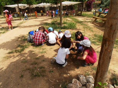 ������ ��� ������ ��� ��� - ����� ������ 17-5-2013