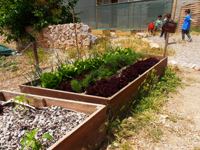 ������ ��� ������ ��� ��� - ����� ������ 17-5-2013