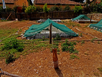 ������ ��� ������ ��� ��� - ����� ������ 17-5-2013