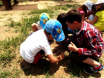 ������ ��� ������ ��� ��� - ����� ������ 17-5-2013