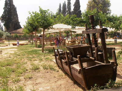 ������ ��� ������ ��� ��� - ����� ������ 17-5-2013