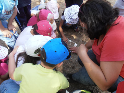 ��� �������,  30-5-2013