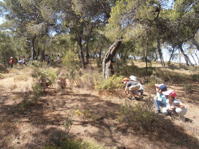 ��� �������,  30-5-2013