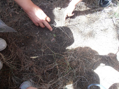 ��� �������,  30-5-2013