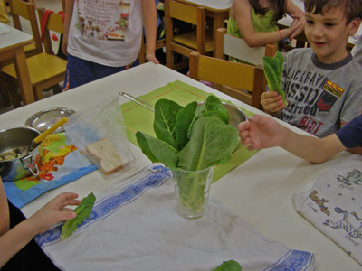 �������������� ��������� 2012-2013