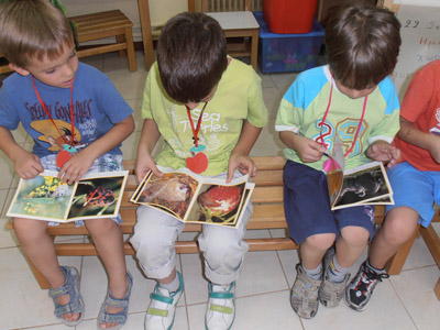 �������������� ��������� 2012-2013