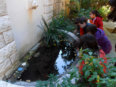 ������� ����� 4-12-2012